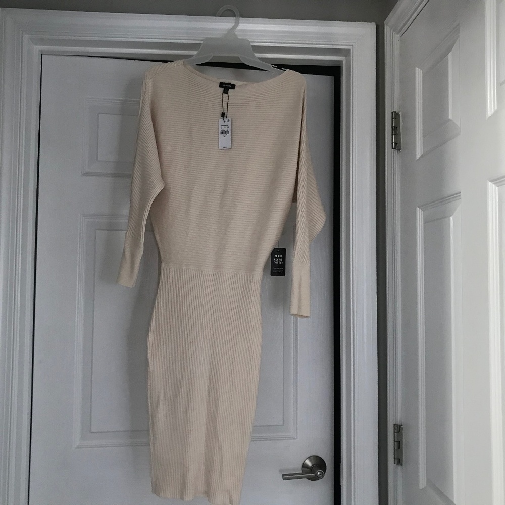 Express sweater dress